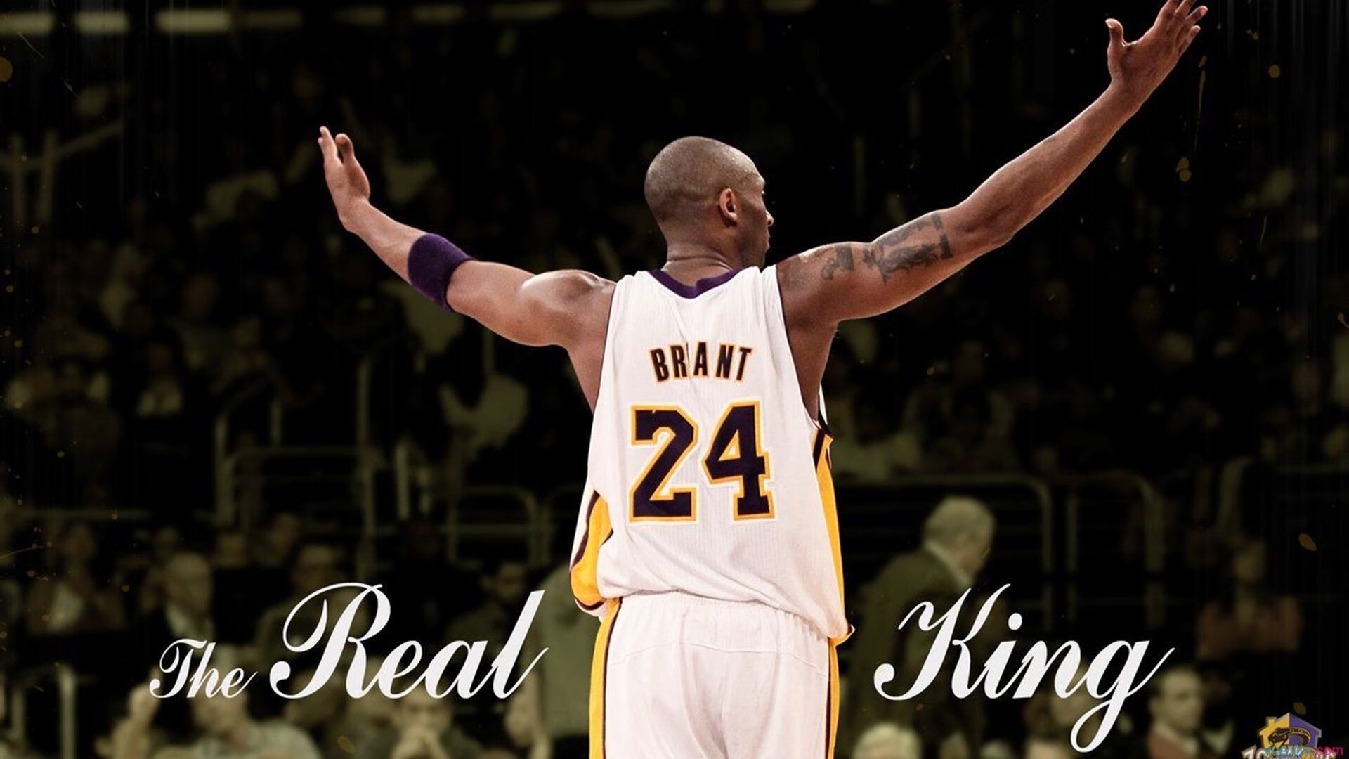 乐鱼app-北京鸭注重球队文化建设营造良好氛围,北京鸭队球员名单