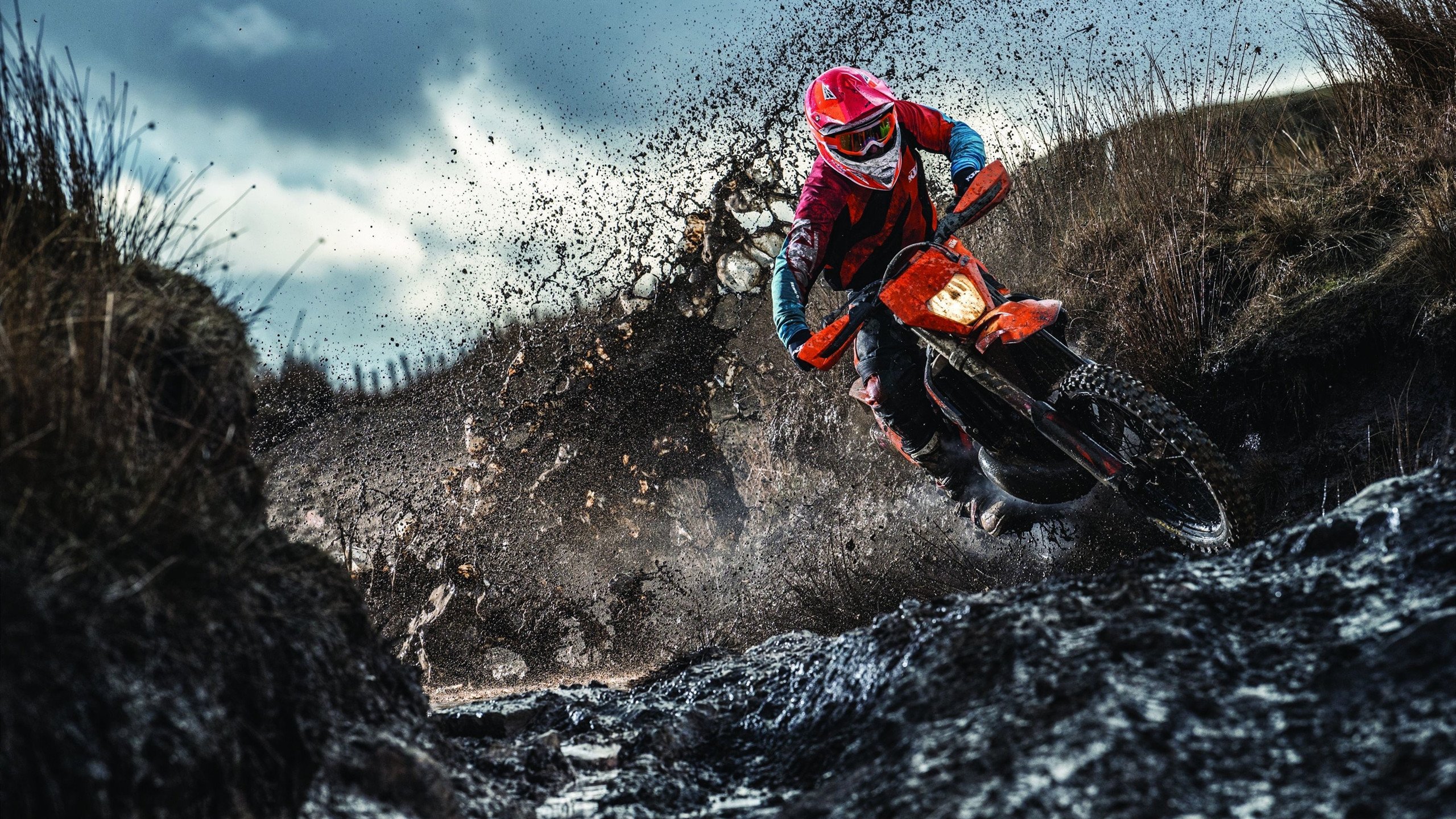 乐鱼体育直播在线-体育题材影视作品热播推动公众关注赛事背后故事,体育题材的电影